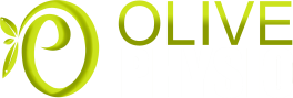 Olive Physiotherapy & Sports Injury Clinic